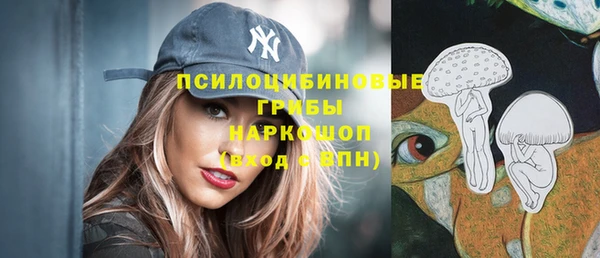 ALPHA-PVP Няндома
